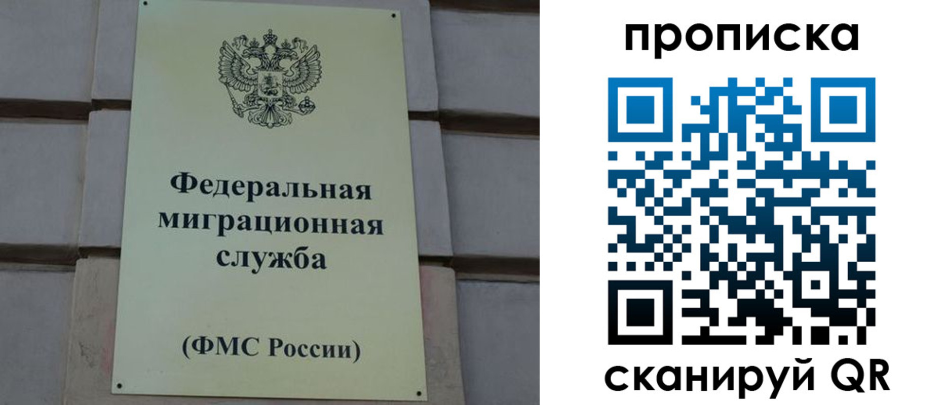 прописка поиск в Первомайске